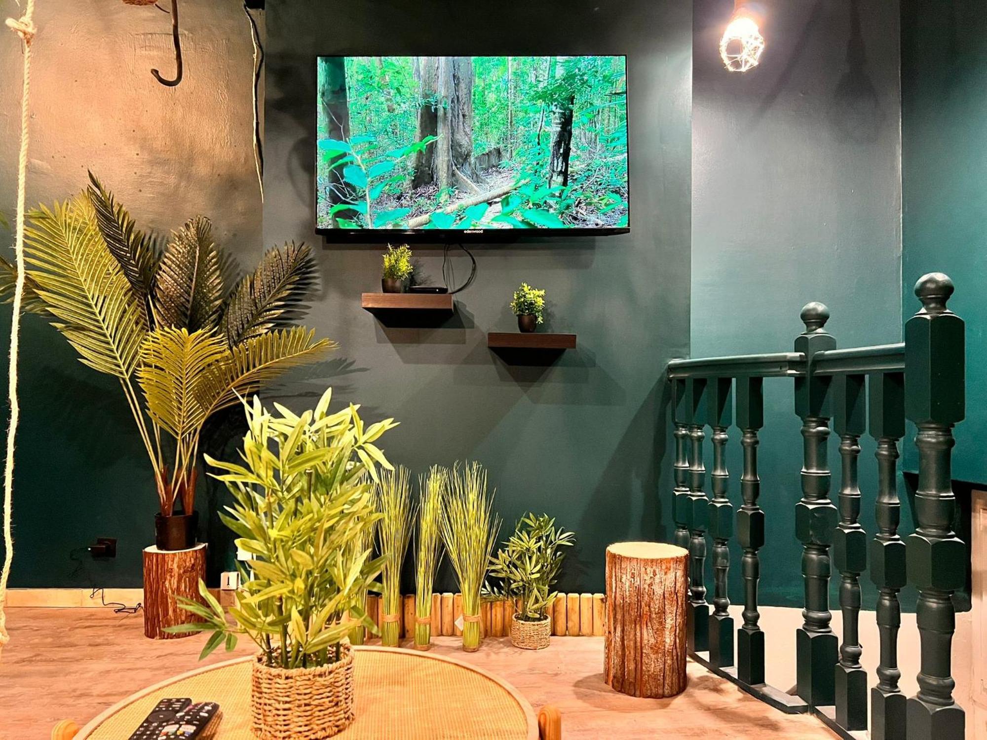 L'amazonia - Private * Boulogne-sur-Mer