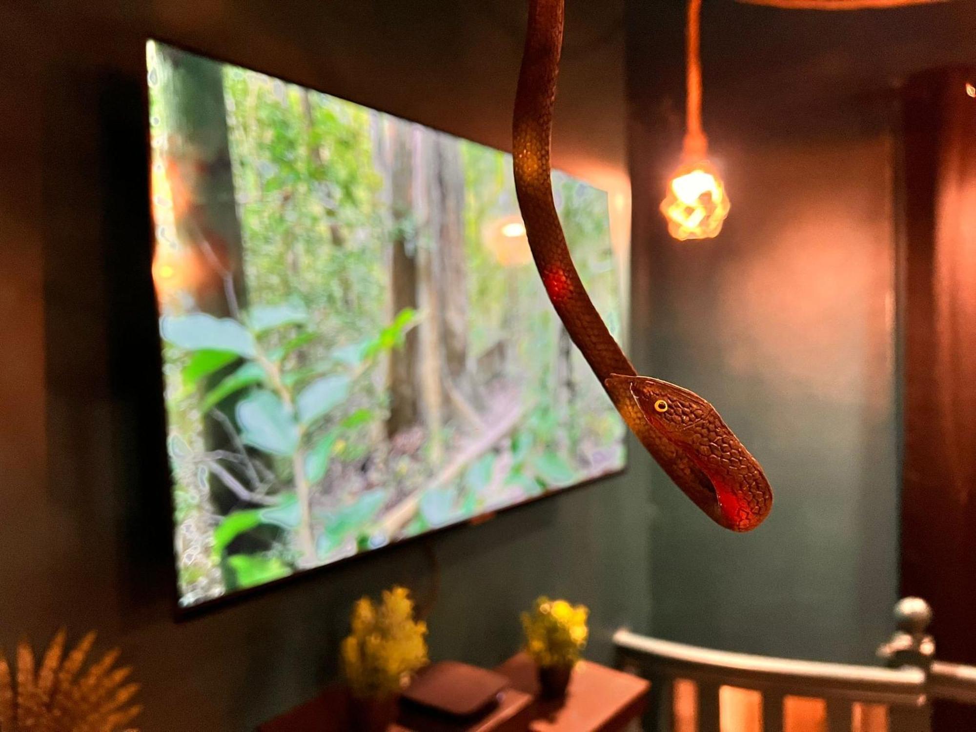 L'amazonia - Private Apartment